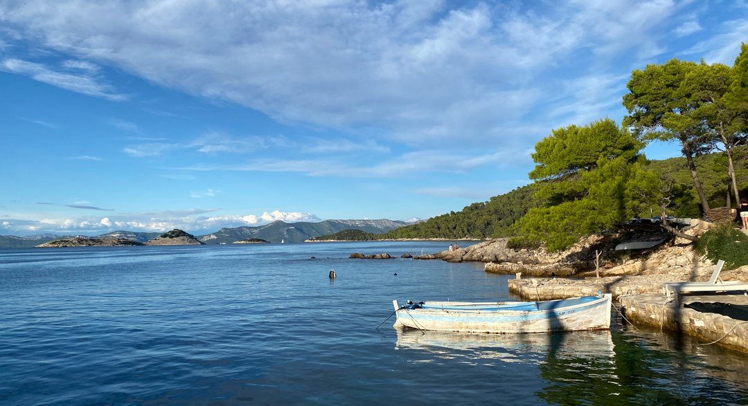 Souper fin de croisière et croisières futures