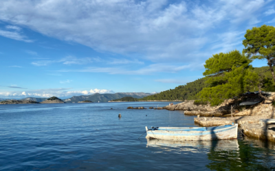 Souper fin de croisière et croisières futures